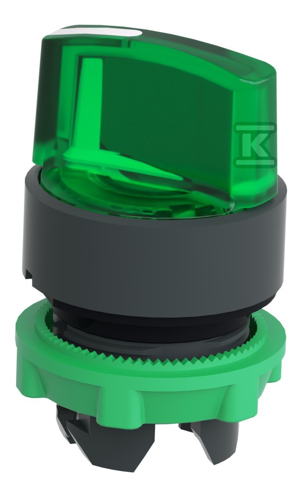 Interruptor de 2 posições verde estável - ZB5AK1233